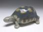 Preview: Figur Schildkröte, Royal Copenhagen, um 1923-34, Modell 552, L: 15 cm