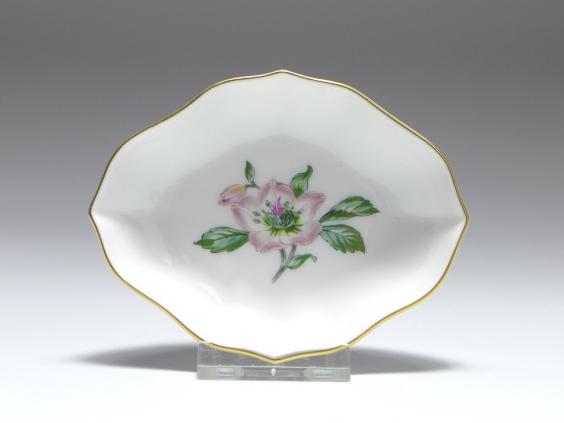 Schale, Meissen, Blumenmalerei Christrose, L: 10 cm