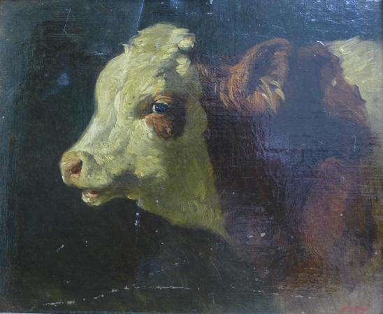 Johann Friedrich Voltz, 19. Jh.: Gemälde Prachtvoller Kopf eines Ochsen